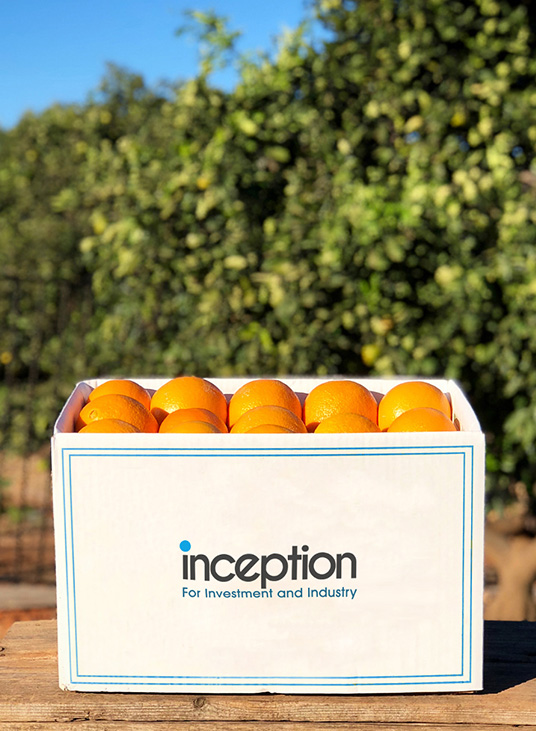 Inception - Packaging and Paper Company Egypt - Packaging Slider Agriculture orange box