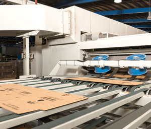 Carton Factory - paper supplier manufacturer egypt - inception